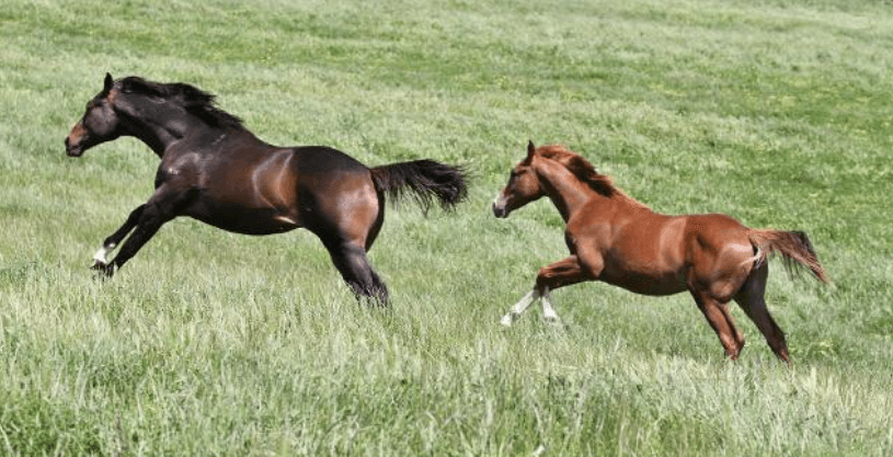 Screenshot 2024-06-13 173046.png