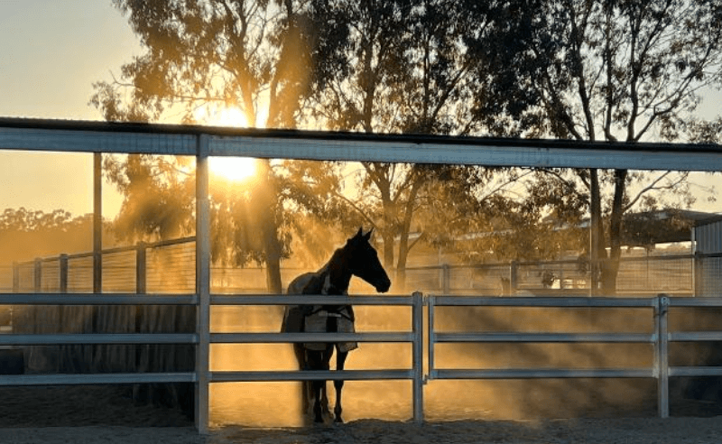 Screenshot 2024-06-13 173130.png